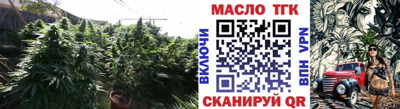 цены   Онега  ТГК вейп 
