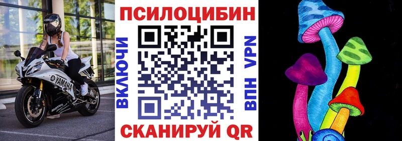 где купить   мега ссылка  Псилоцибиновые грибы GOLDEN TEACHER  Онега 
